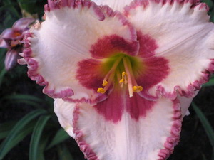   . Kiss Me Softly.